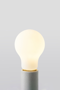 Brightlight A19 LED Bulb