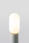 Brightlight T14 LED Bulb