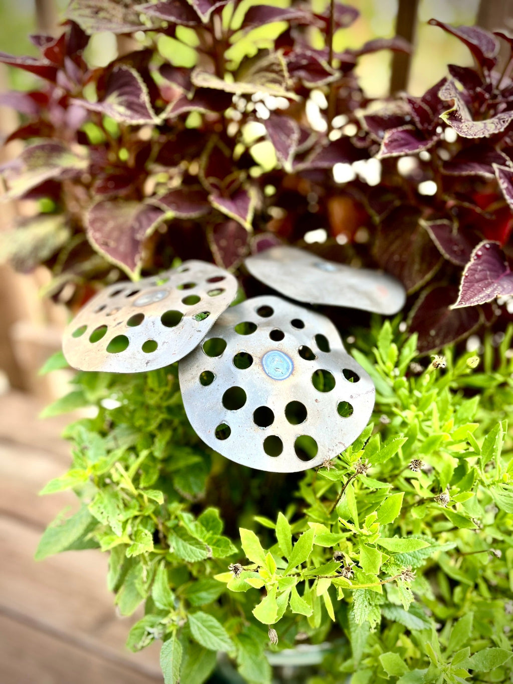 3-Pack Metal Lotus Seed Pod Garden Stakes Northern Forge, LLC