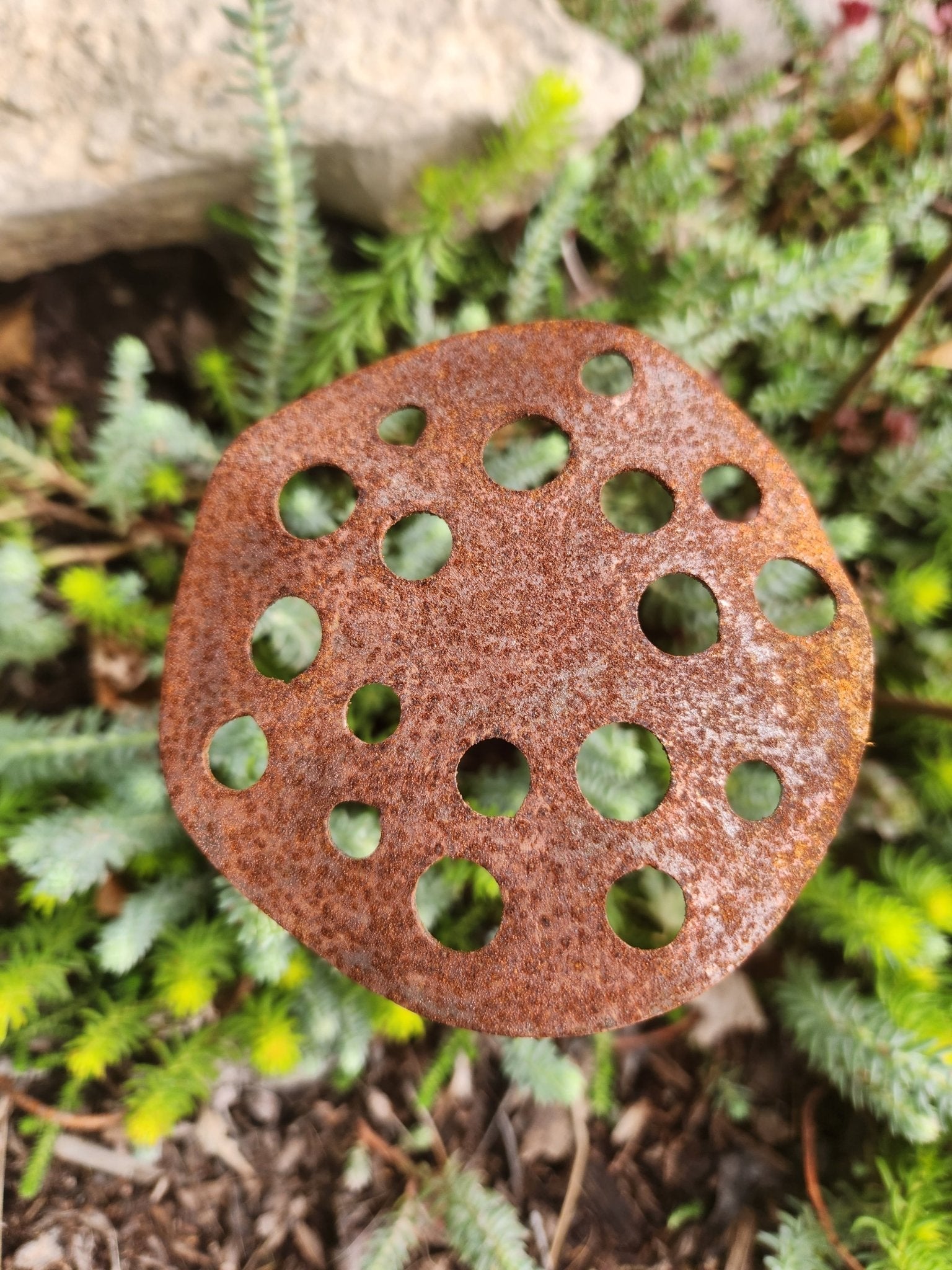 3-Pack Metal Lotus Seed Pod Garden Stakes Northern Forge, LLC