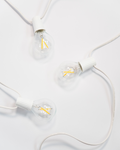 Ambience Globe LED Outdoor Plug-In String Lights