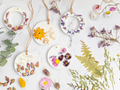 Botanical Wax Sachet | Cozy & Warm | Vanilla Amber Spice