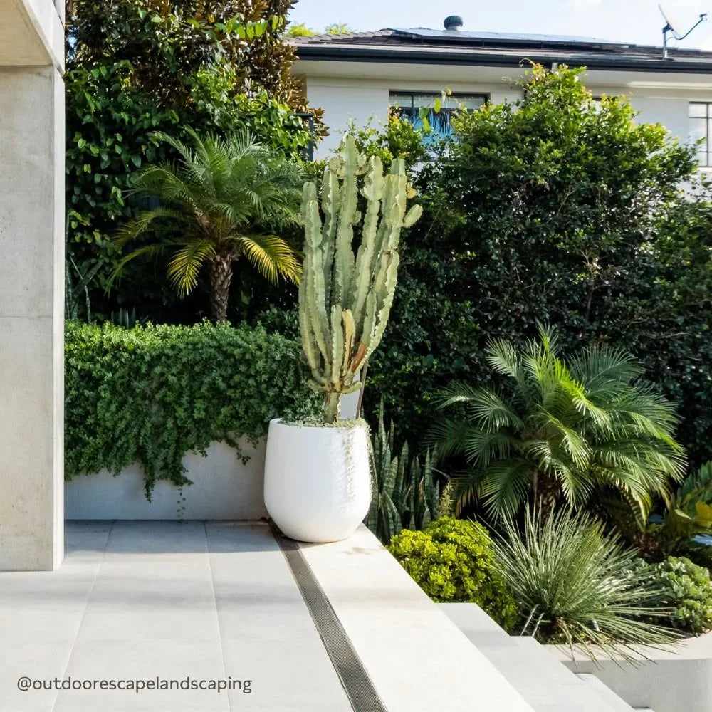 JITT The Balcony Garden US