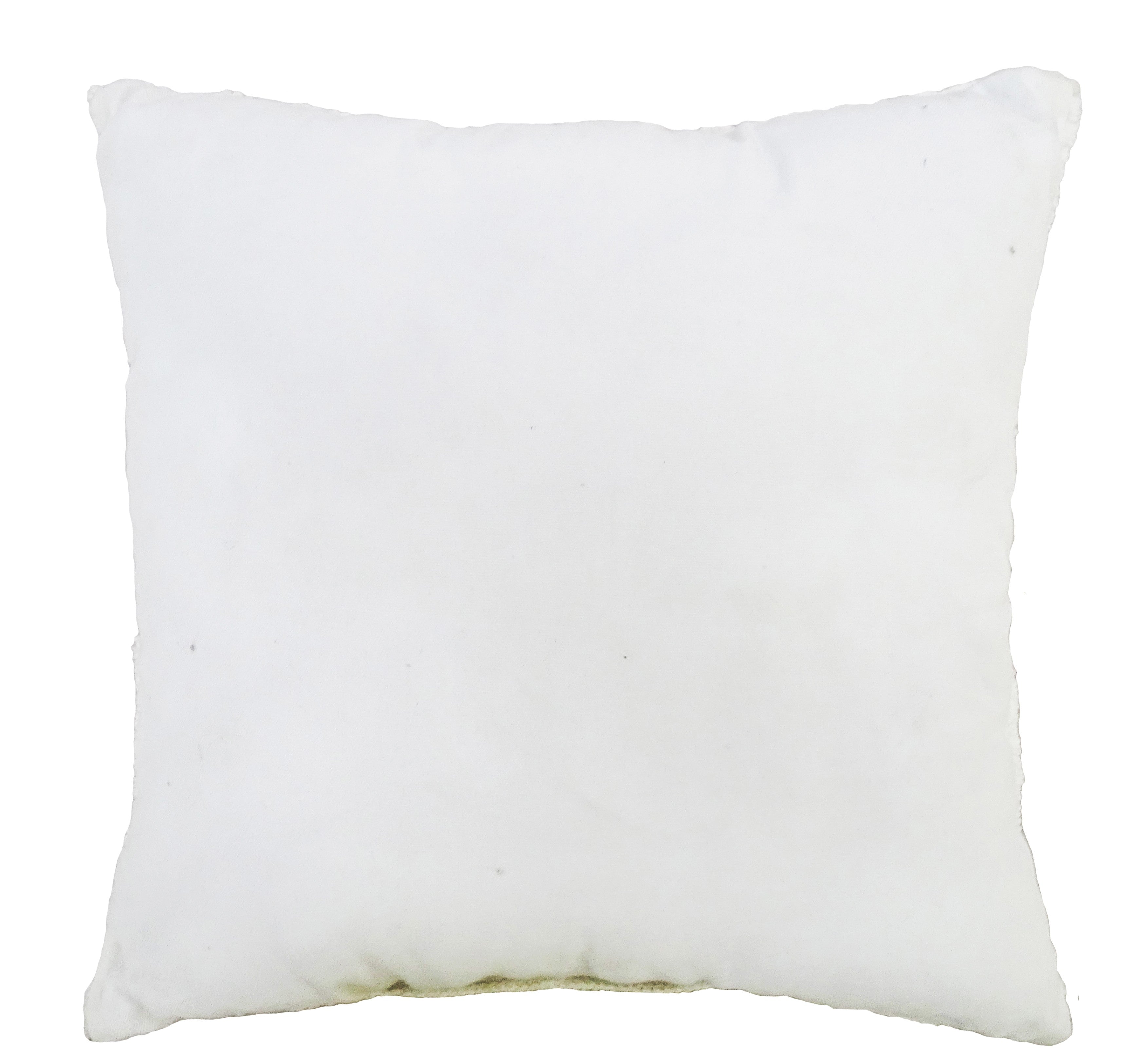 Decorative 18"x18" Outdoor Pillow for couch  (White) Vibhsa