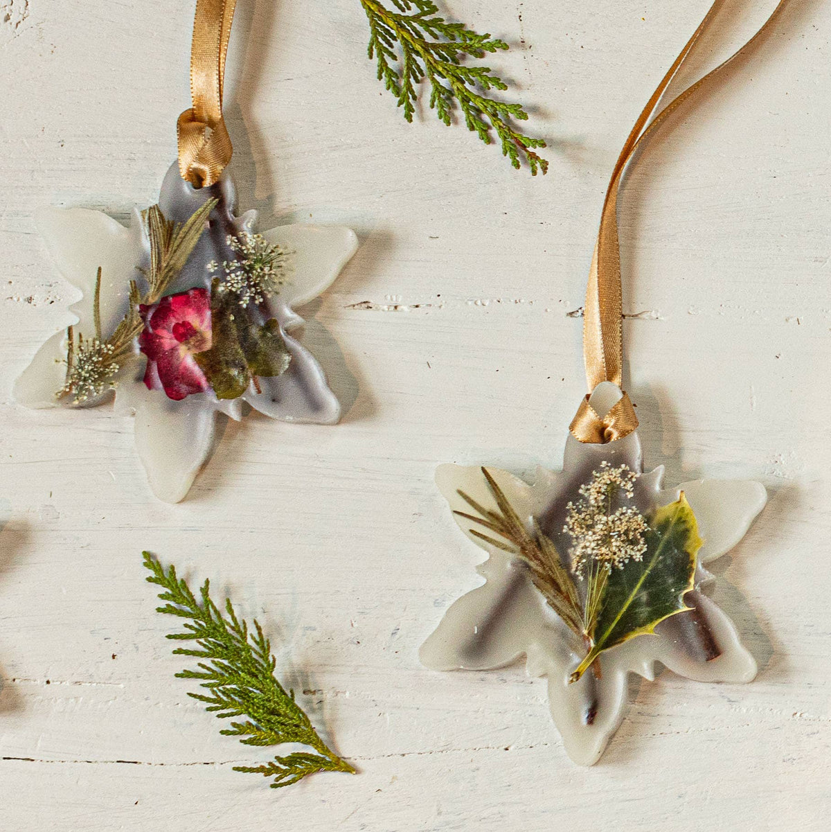 Snowflake  Forest /Botanical Sachet Branches Designs