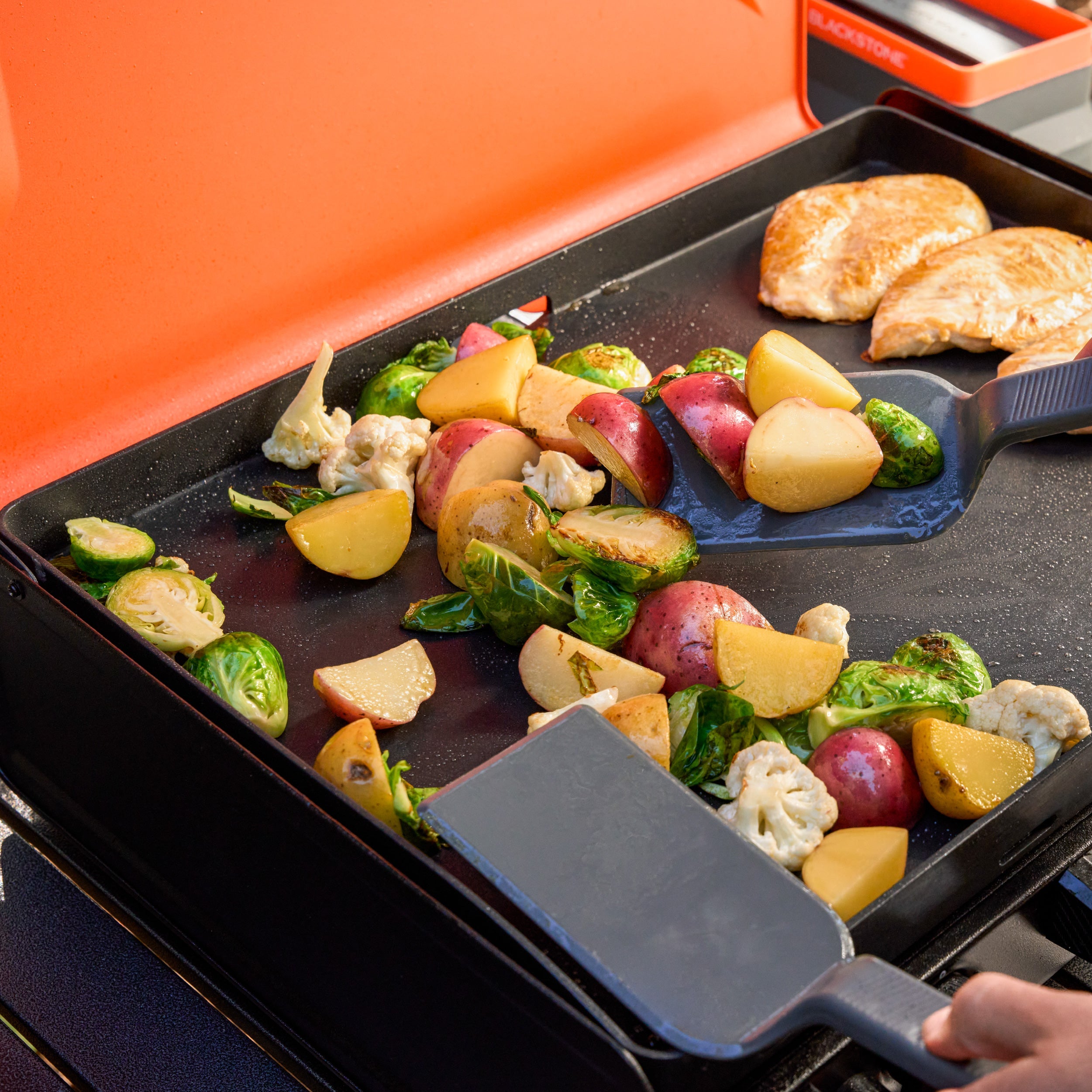 Blackstone OTG 20x14" Camping Griddle Blackstone Products (B2B)