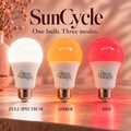 SunCycle 3-Mode Circadian Bulb DreamWalkerz