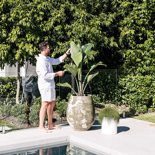 Choob The Balcony Garden US