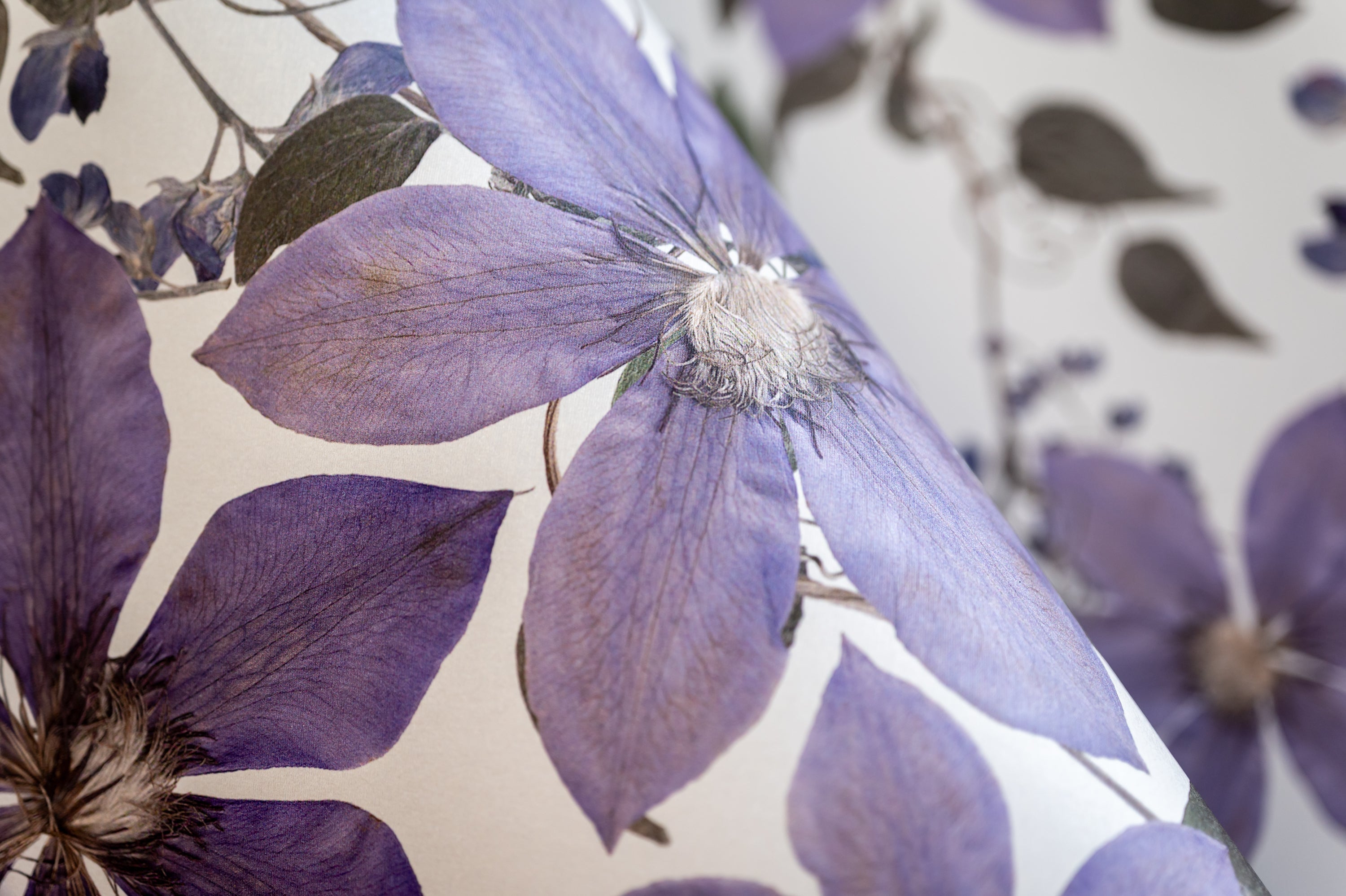 Clematis