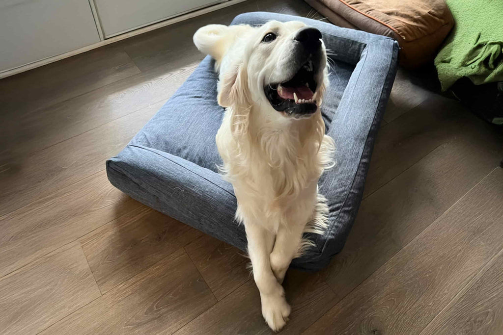 Dog Bed Lounger Moon Pod