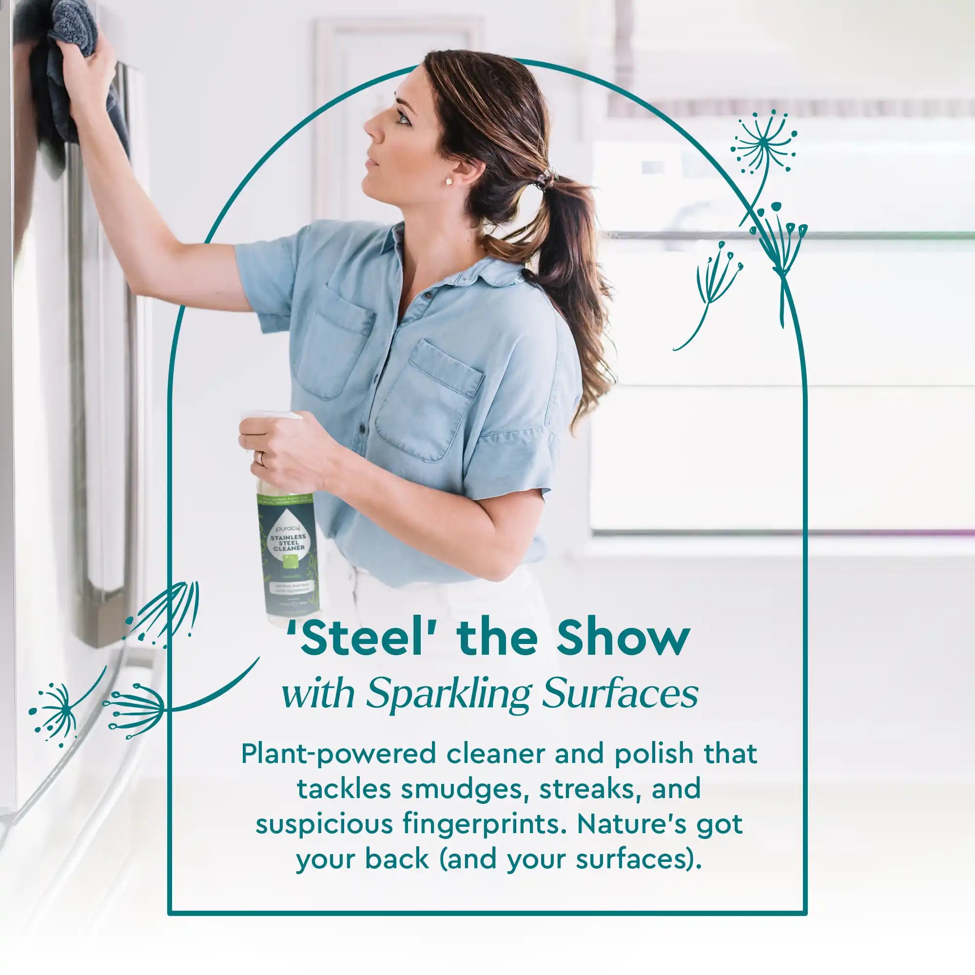 Stainless Steel Surface Cleaner Puracy