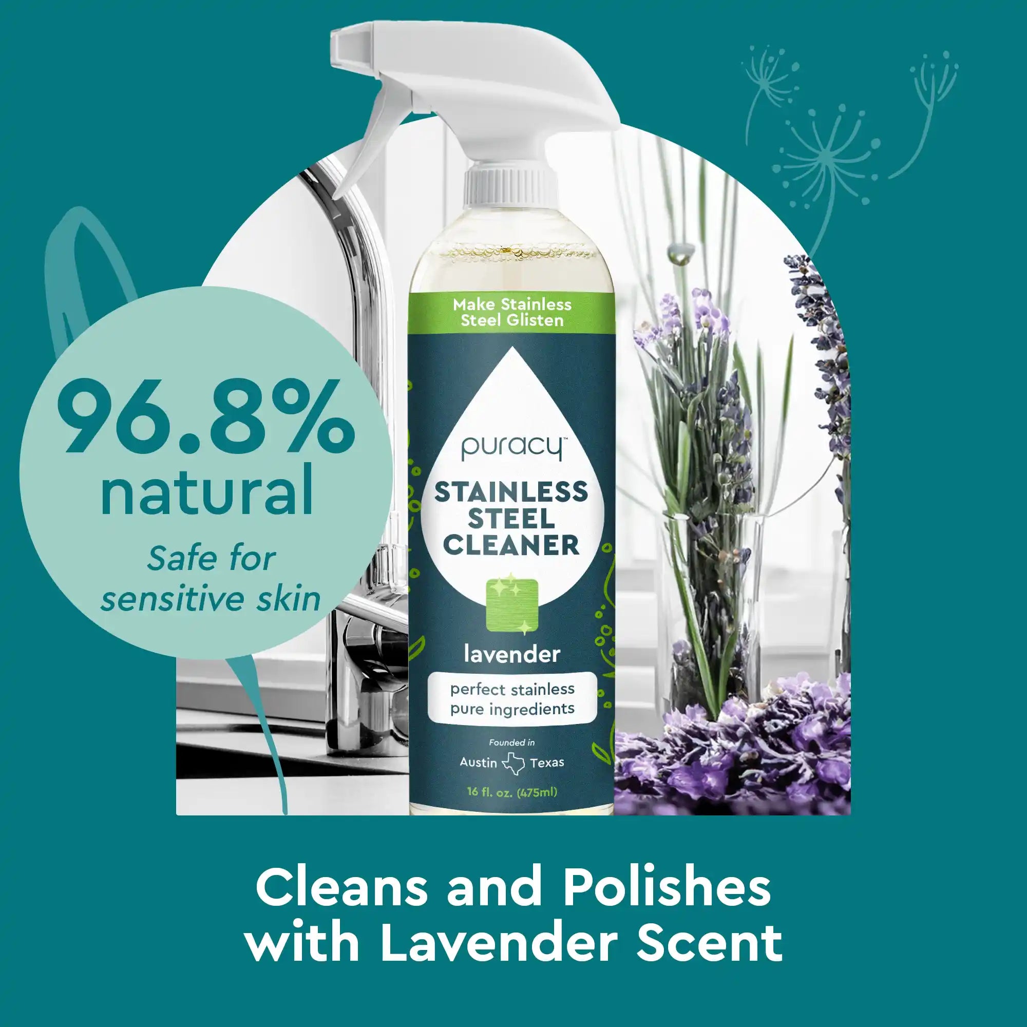 Stainless Steel Surface Cleaner Puracy
