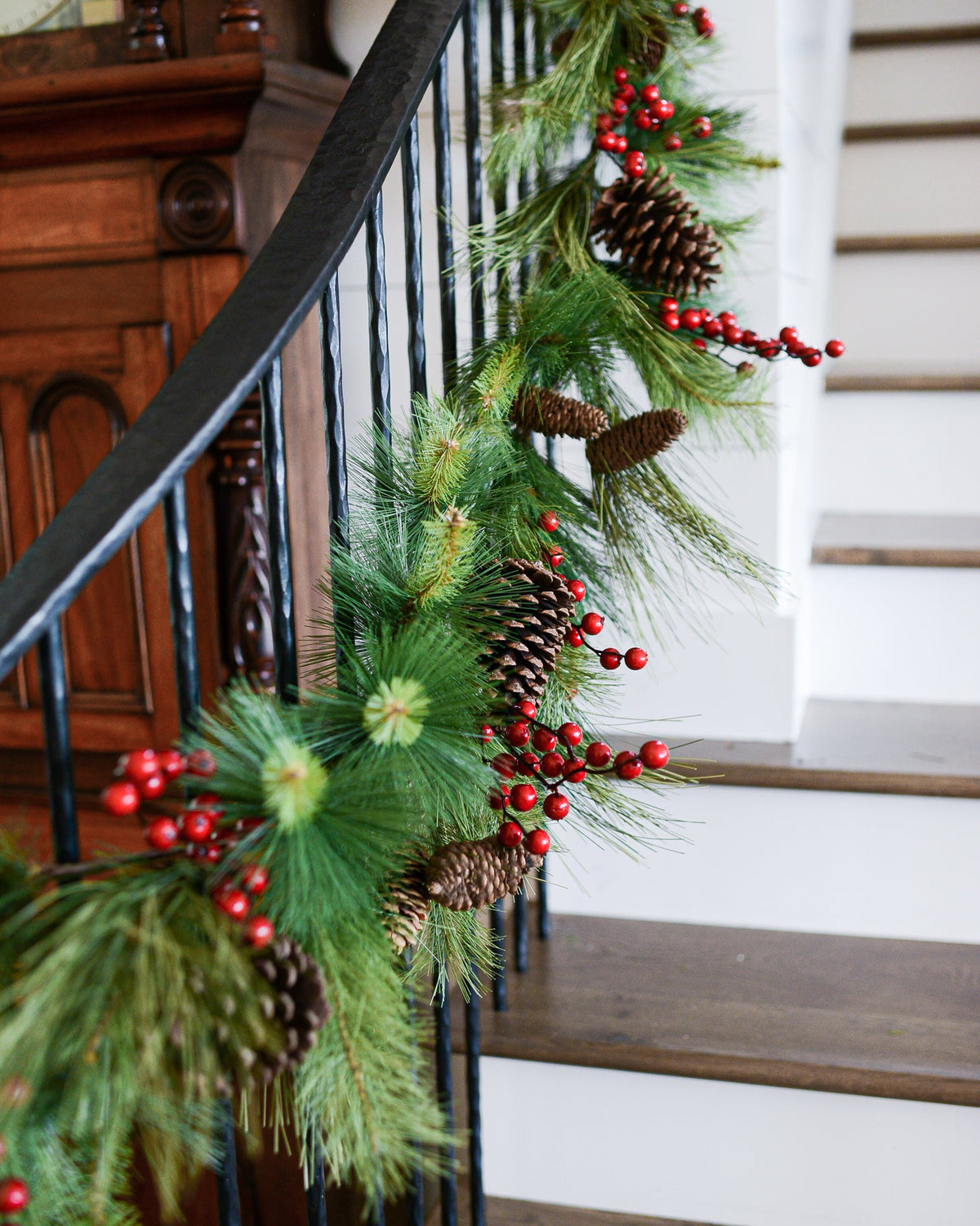 6 ft. Adirondack Pine Garland Branches Designs