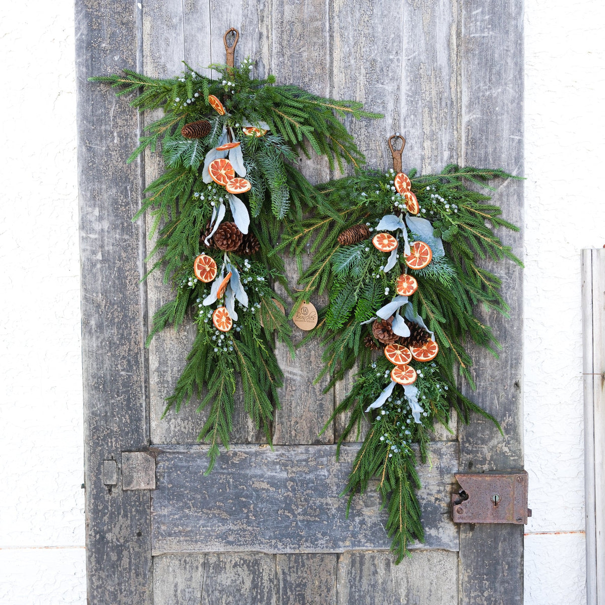 Orange Grove Evergreen Down Drop Branches Designs