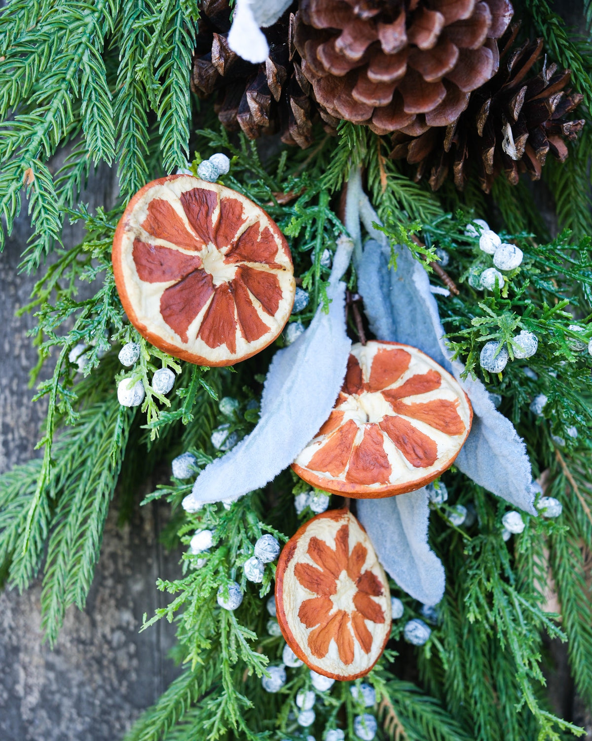 Orange Grove Evergreen Down Drop Branches Designs