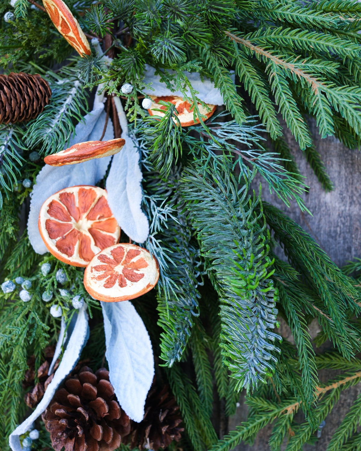 Orange Grove Evergreen Down Drop Branches Designs