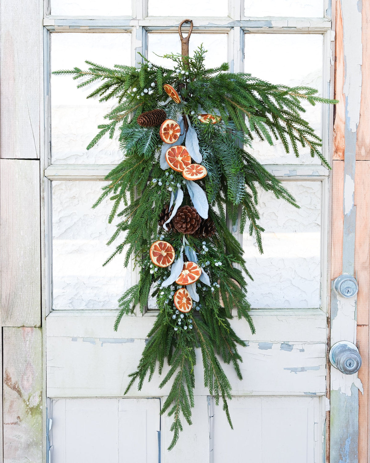 Orange Grove Evergreen Down Drop Branches Designs
