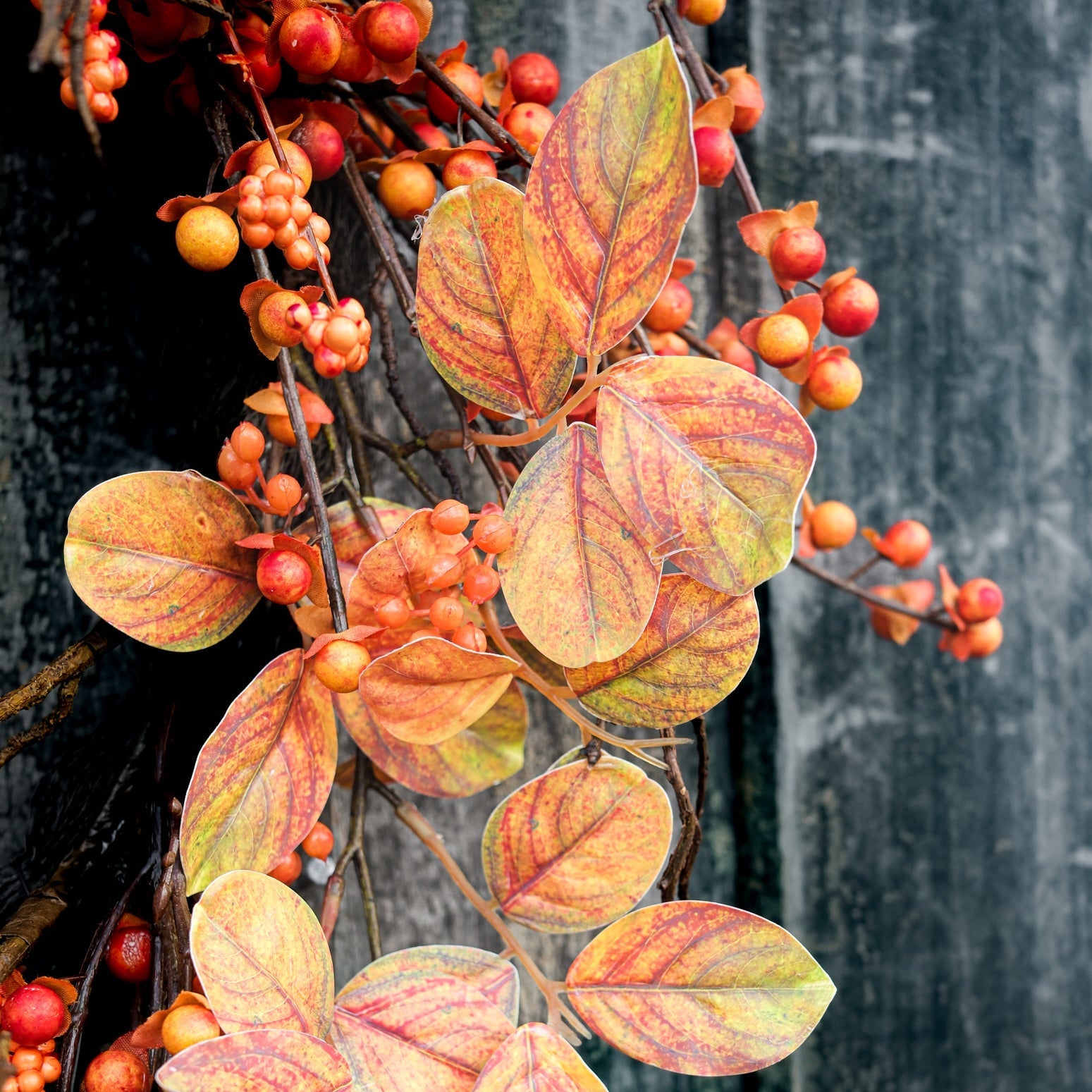 Bittersweet Wreath Branches Designs