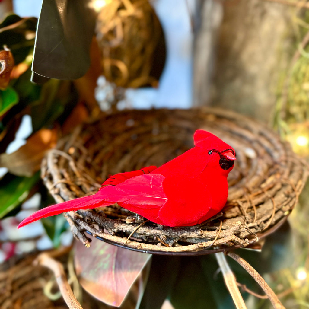 Velvet Feather Red Cardinal Clip Ornament Branches Designs