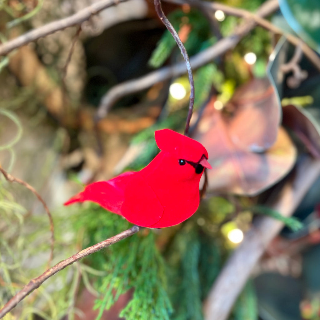 Velvet Feather Red Cardinal Clip Ornament Branches Designs