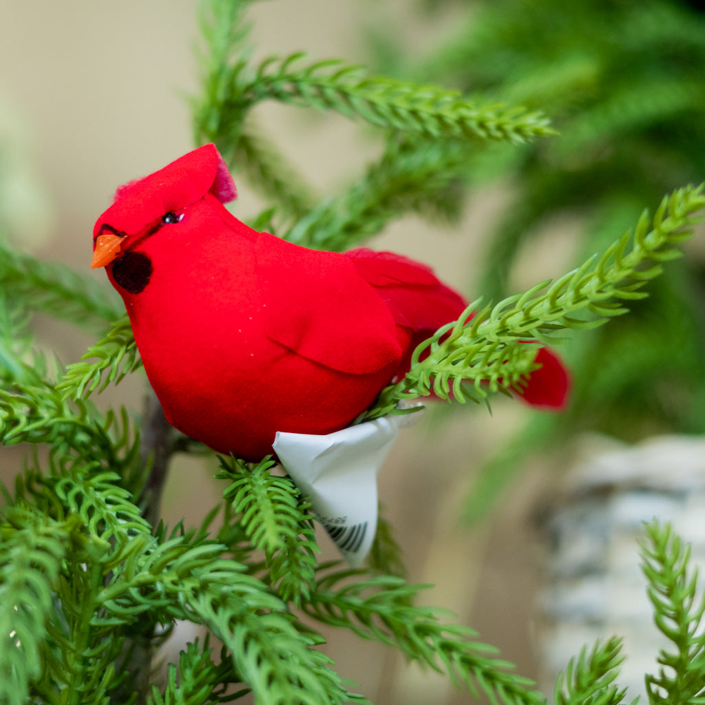 Velvet Feather Red Cardinal Clip Ornament Branches Designs