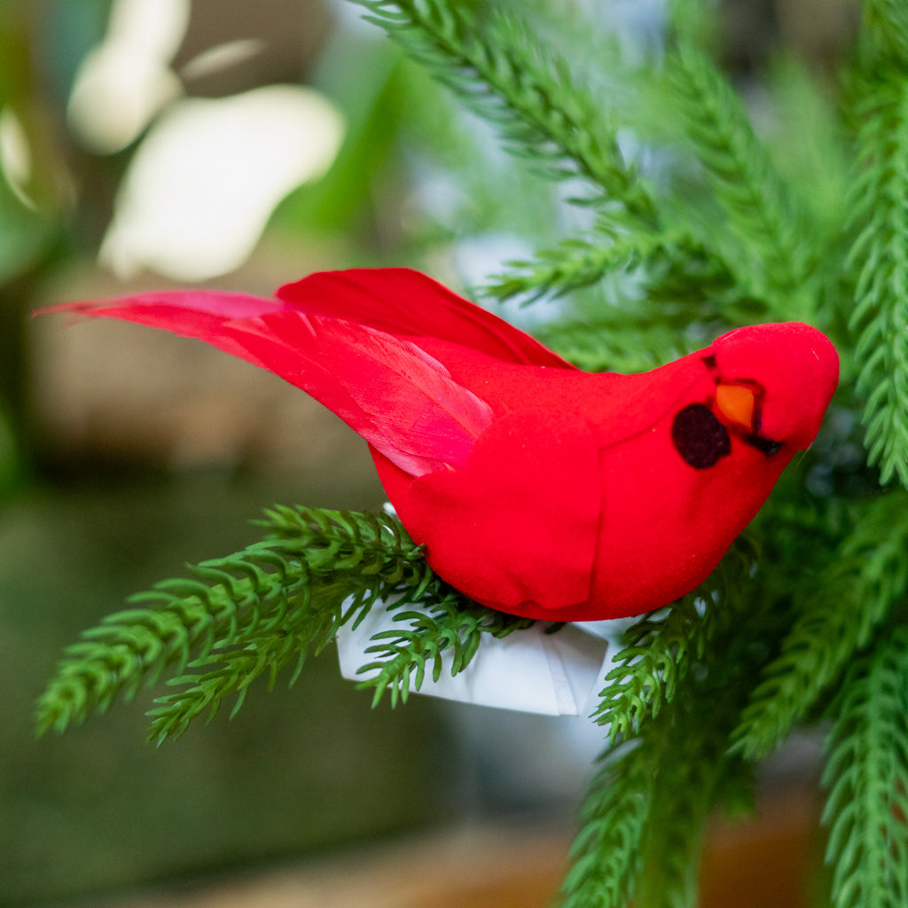 Velvet Feather Red Cardinal Clip Ornament Branches Designs