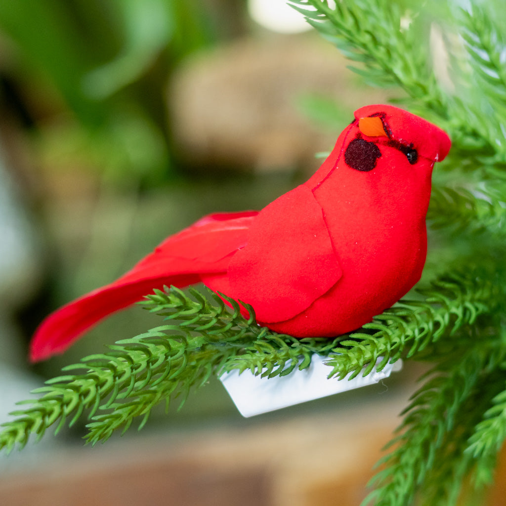 Velvet Feather Red Cardinal Clip Ornament Branches Designs