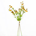 Black Eyed Yellow Susan Bundle Branches Designs