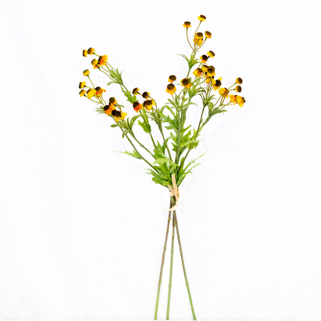 Black Eyed Yellow Susan Bundle Branches Designs