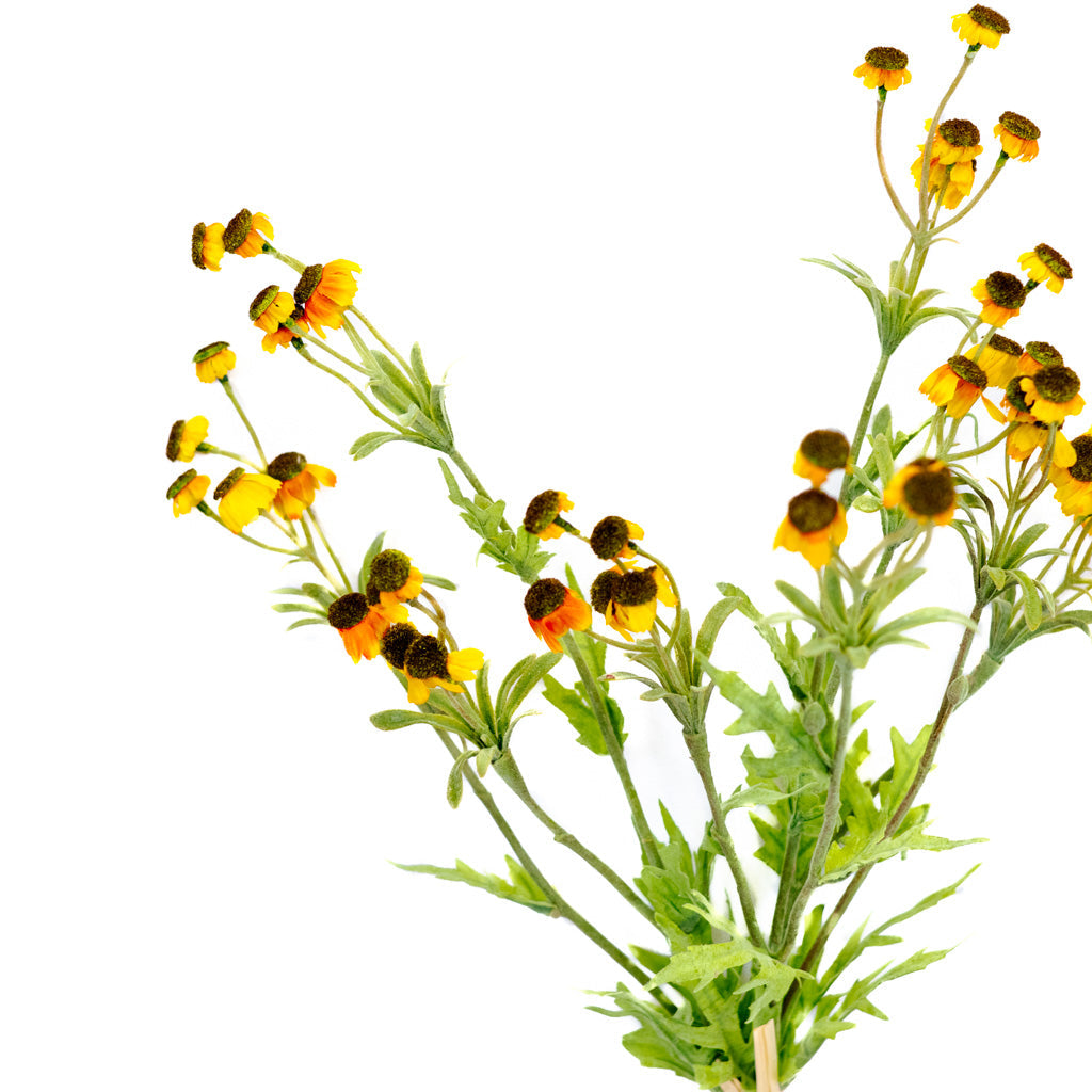 Black Eyed Yellow Susan Bundle Branches Designs