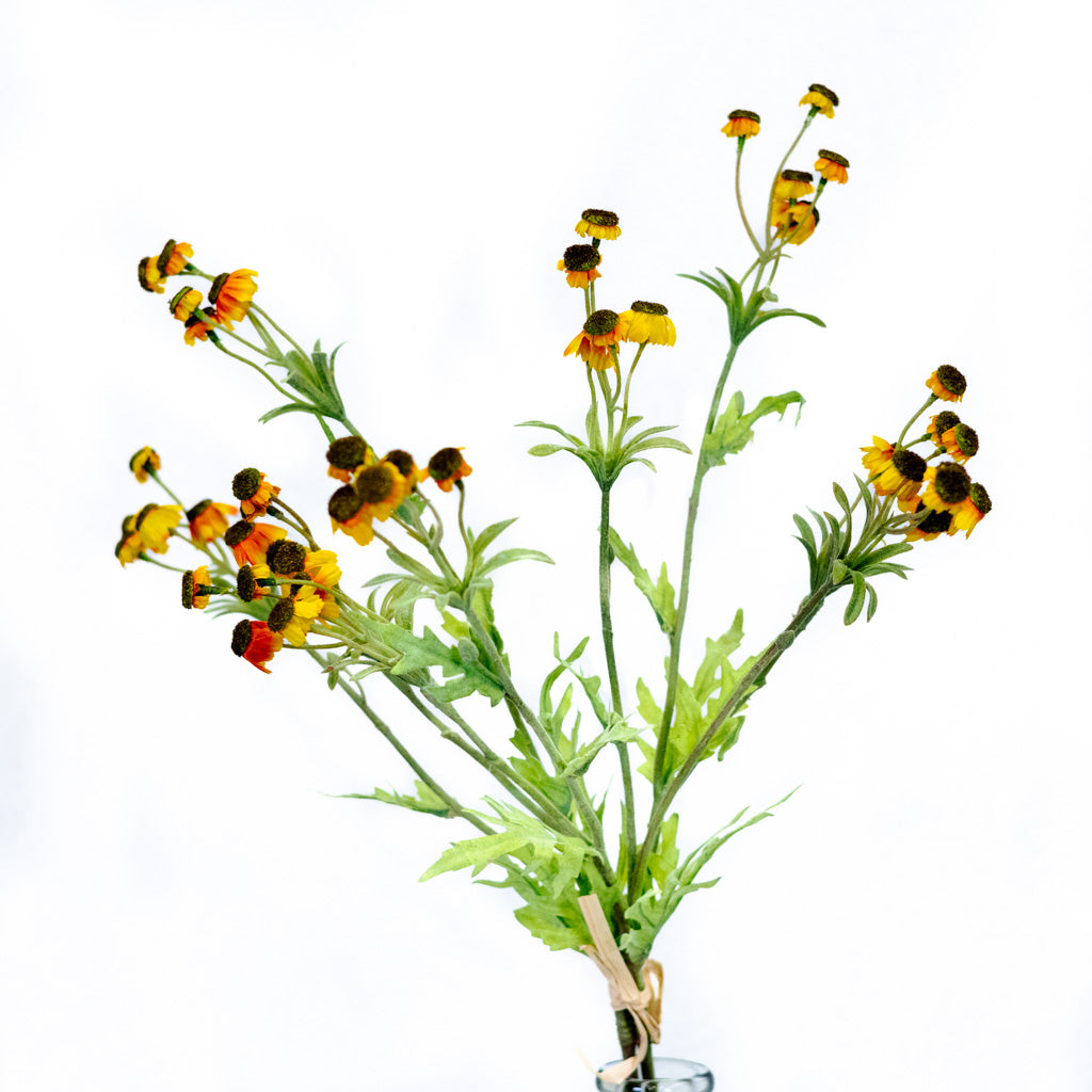 Black Eyed Yellow Susan Bundle Branches Designs