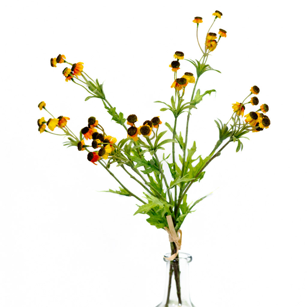 Black Eyed Yellow Susan Bundle Branches Designs
