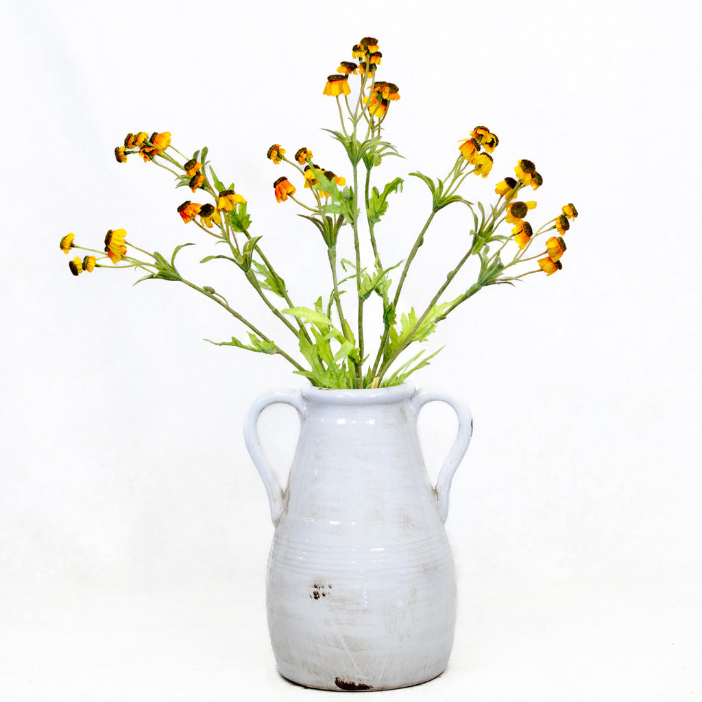 Black Eyed Yellow Susan Bundle Branches Designs