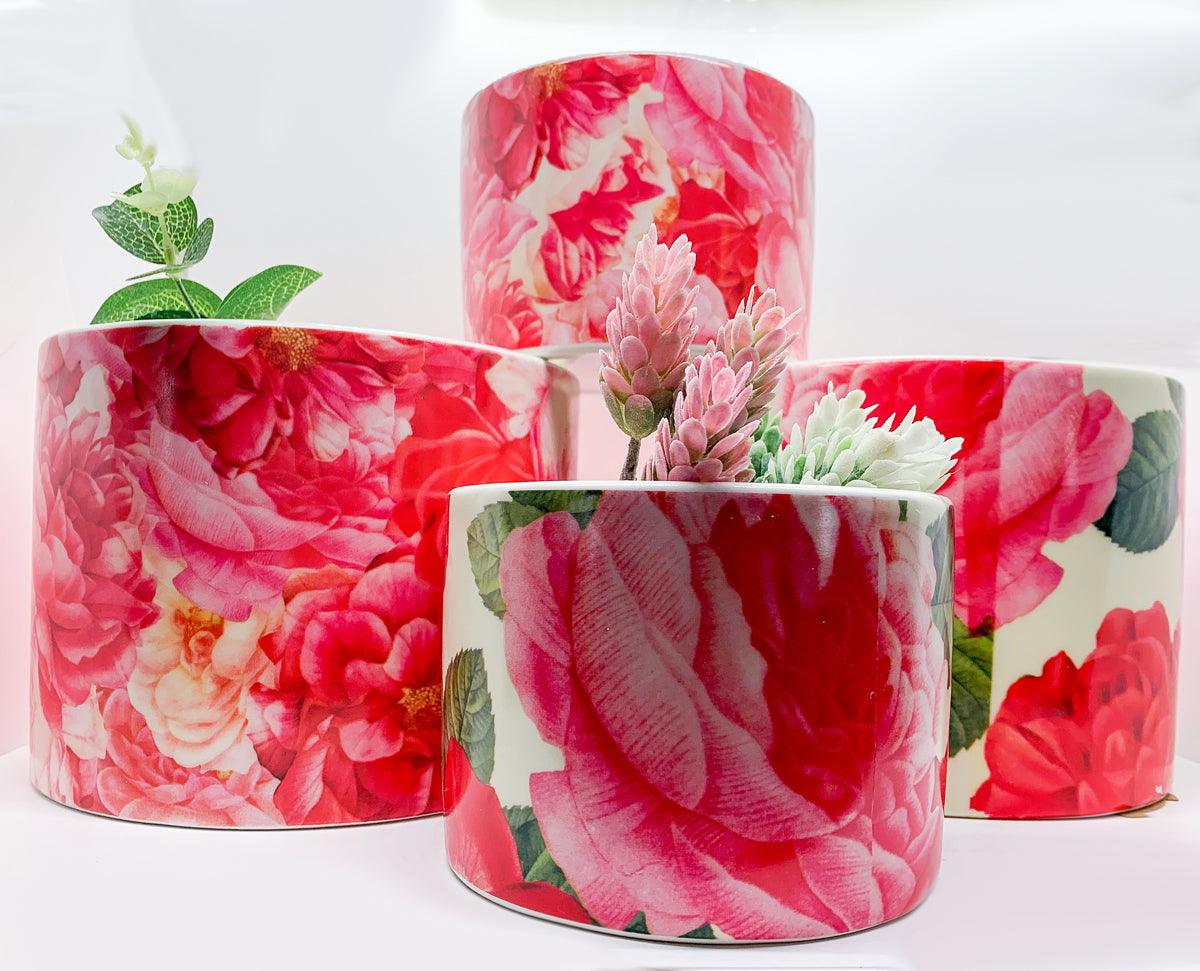 Rose Marie Gia Roma
