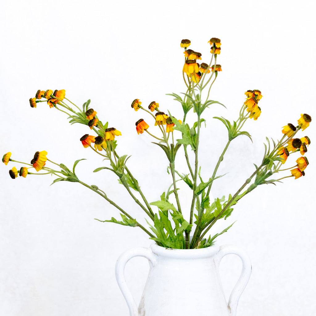 Black Eyed Yellow Susan Bundle Branches Designs