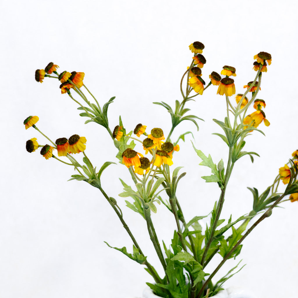 Black Eyed Yellow Susan Bundle Branches Designs