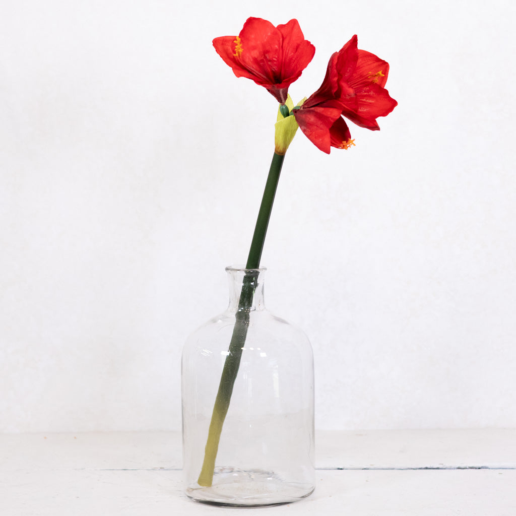 Red Amaryllis with Two Blooms and Bud Branches Designs