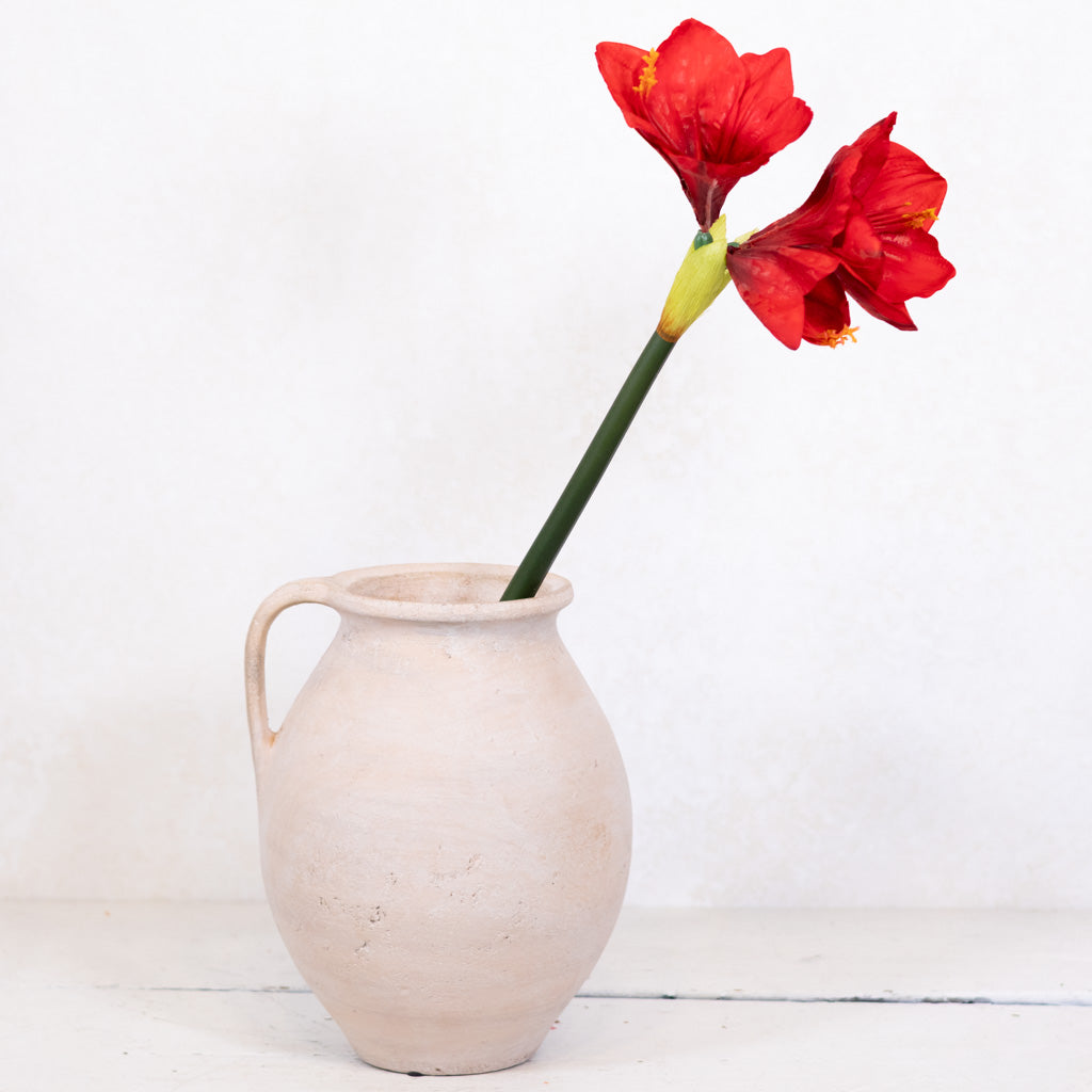 Red Amaryllis with Two Blooms and Bud Branches Designs