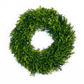 18" D Boxwood Wreath Branches Designs