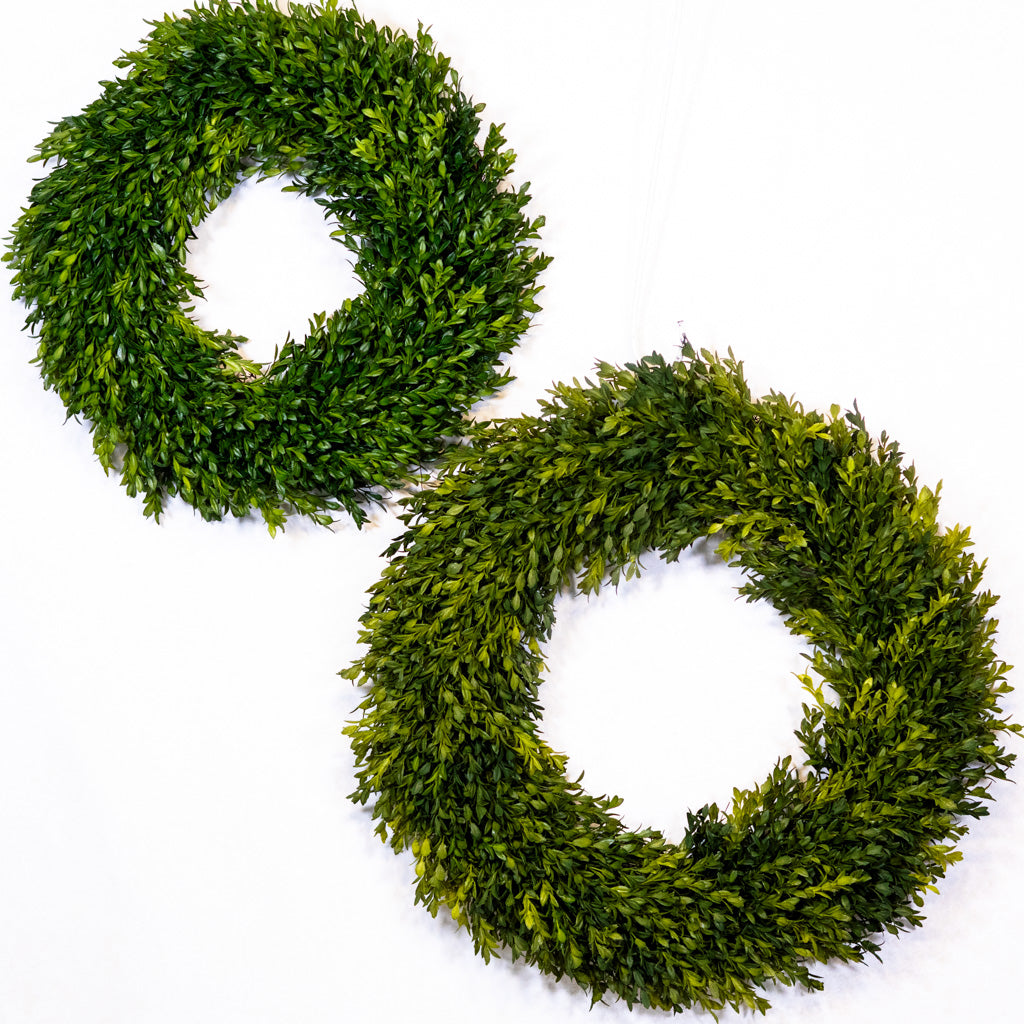 18" D Boxwood Wreath Branches Designs