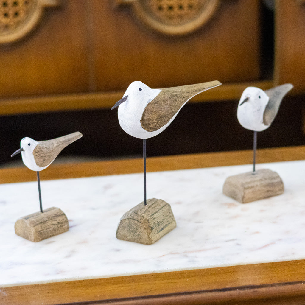 Tall Seagull on Driftwood Branches Designs
