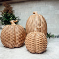 Basket Weave Pumpkins Gia Roma