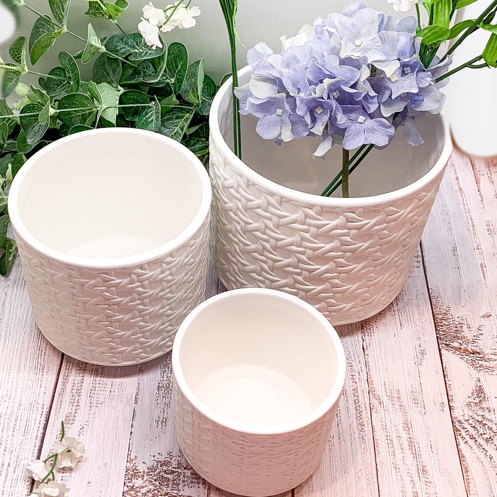 Webbing Planters Gia Roma