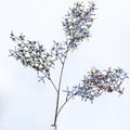 Tall Smoked Blue Berry Spray Branches Designs