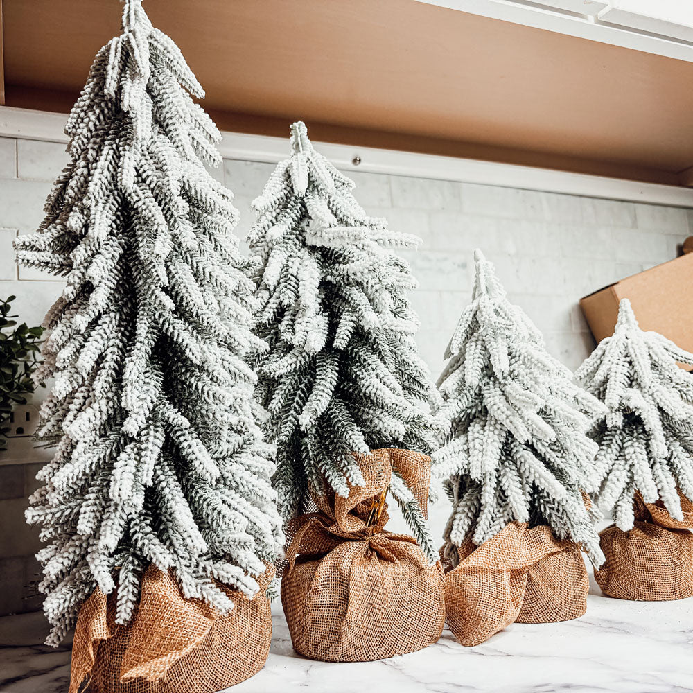 Snow Trees Gia Roma