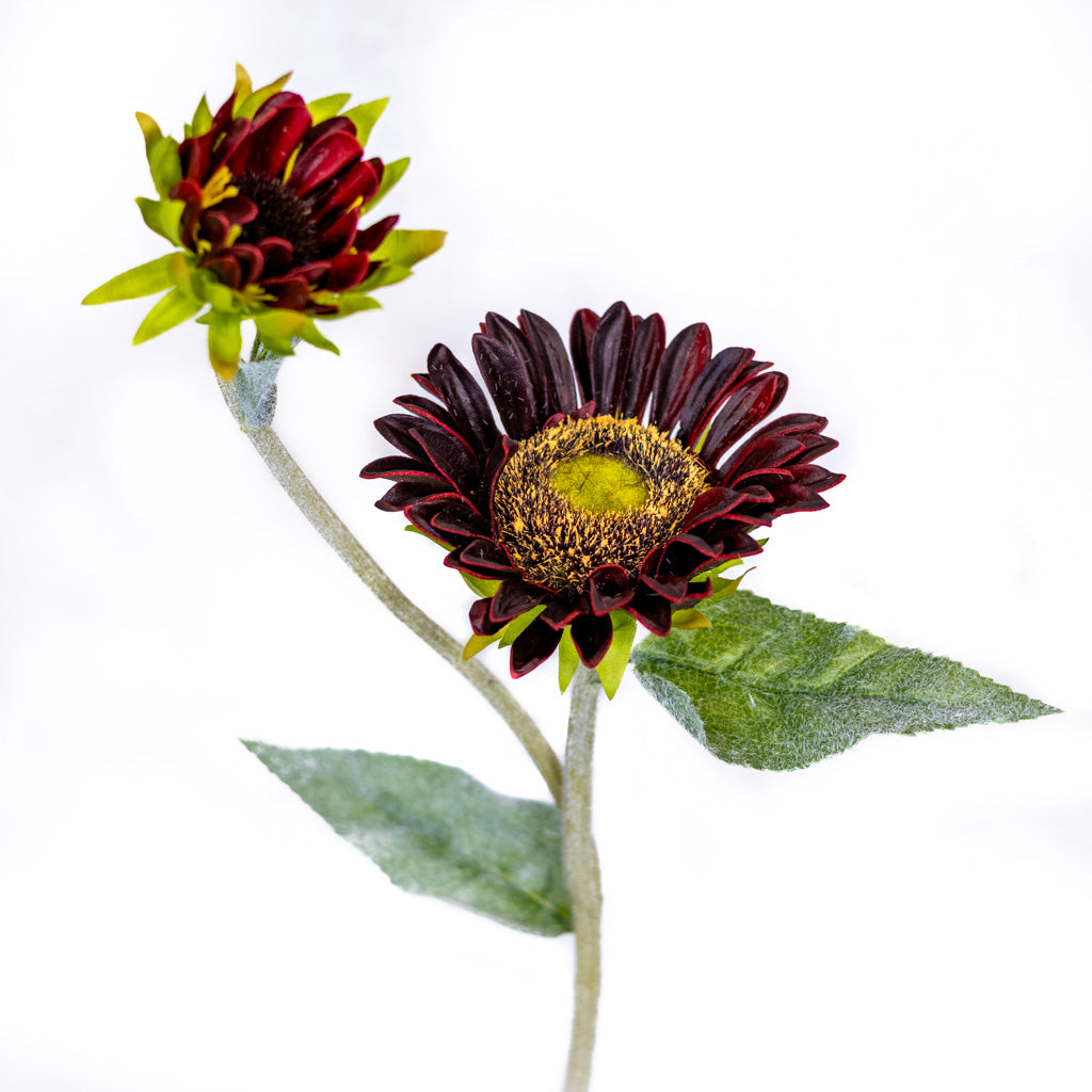 Rust Sunflower with Bud Spray Natural Touch Branches Designs