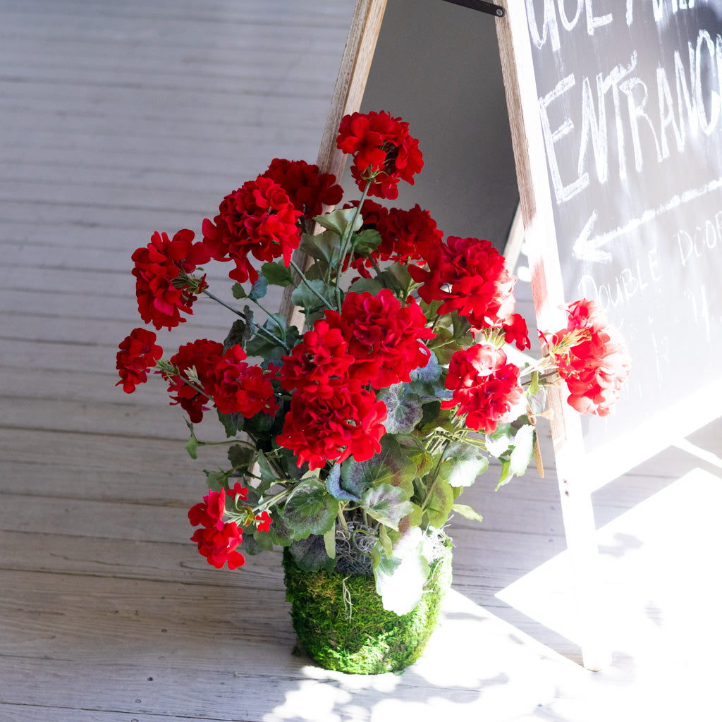 Red Geranium Double Moss Pot Drop In Branches Designs