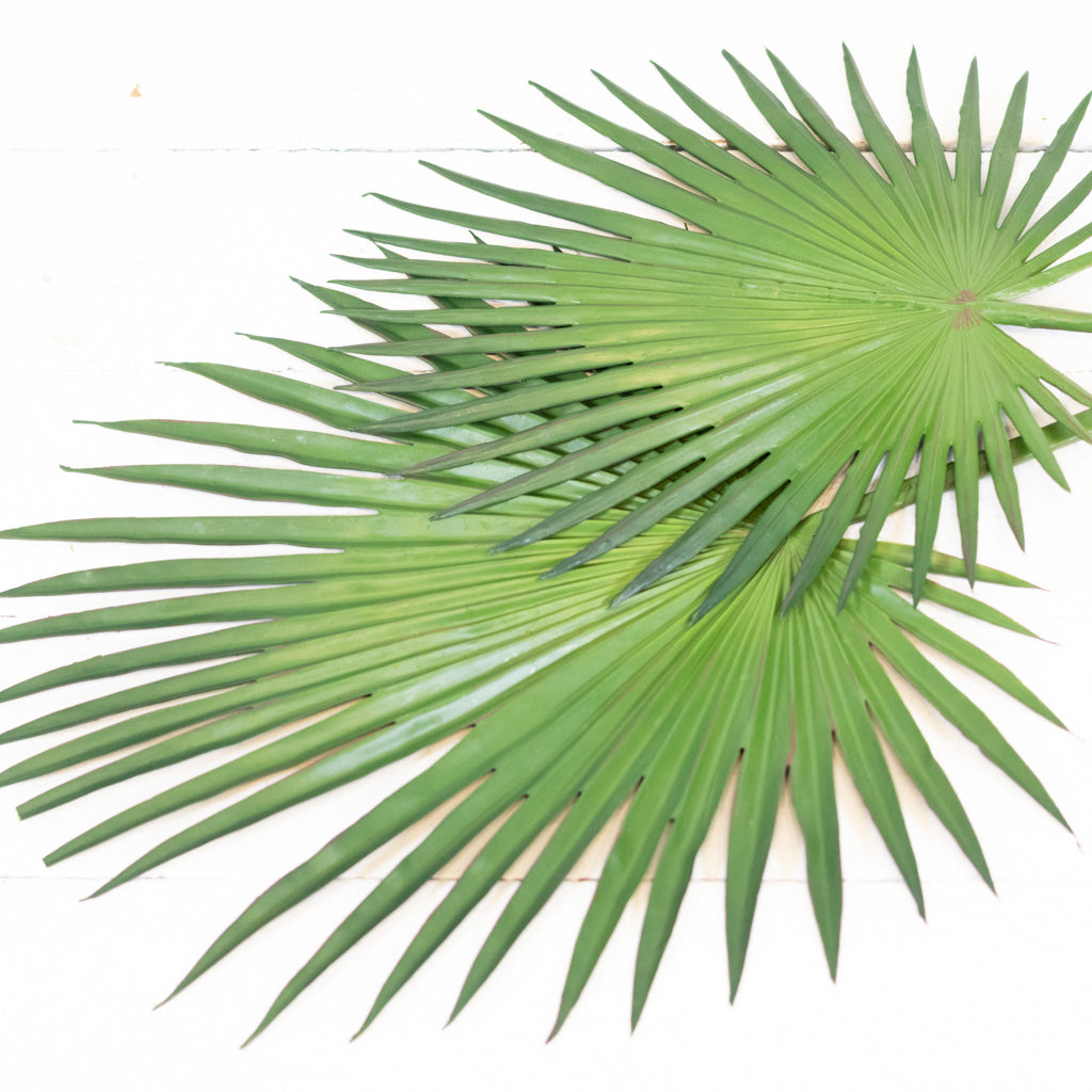 Fan Palm Spray 44"L Branches Designs