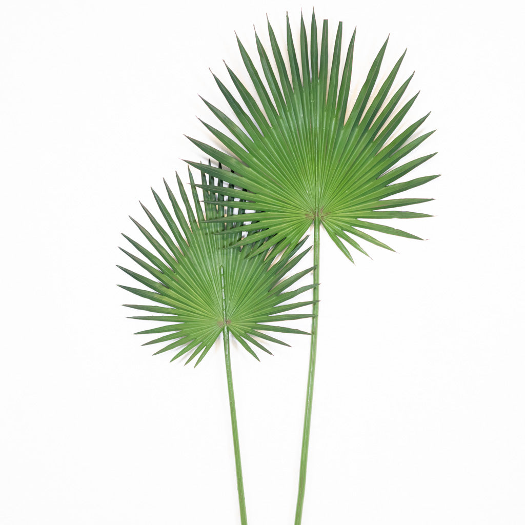 Fan Palm Spray 44"L Branches Designs