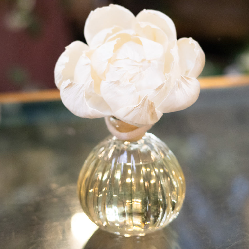 Citron Sol Herbal Citrus Flower Diffuser Branches Designs